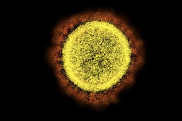 Mỹ đã xác định được thuốc tiềm năng điều trị SARS-CoV-2-1