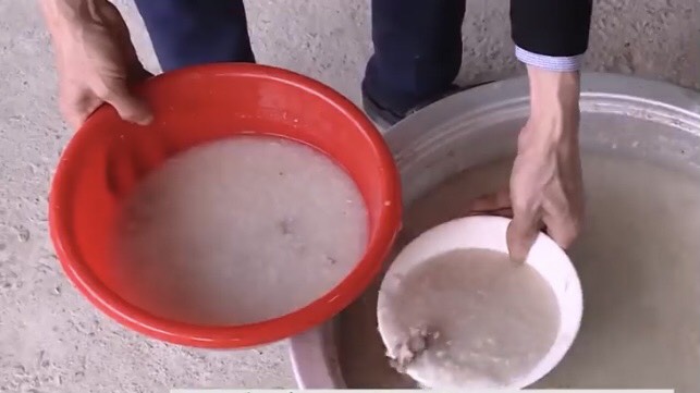 Nuôi loài đặc sản núi rừng, cho ăn cháo gà, bán 2 triệu/kg, nông dân thu 2 tỷ đồng mỗi năm-1