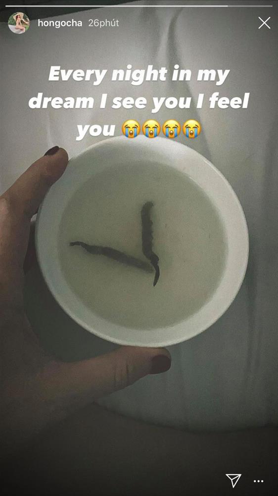 Trải qua việc bầu bí, sinh con, Hồ Ngọc Hà và Đàm Thu Trang cùng bồi bổ bằng món ăn đắt đỏ hơn vàng ròng-5