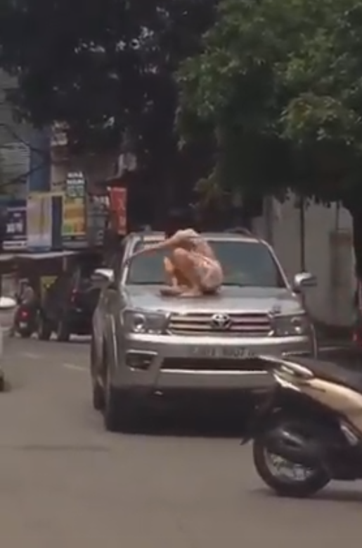 Người phụ nữ đùng đùng trèo lên nóc xe ô tô nhảy nhót, múa may nhưng hành động của tài xế lại gây tranh cãi dữ dội-2