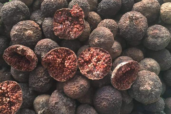 Mơ má đào mất giá thê thảm, đặt mua ngâm lấy nước chờ hè về-4