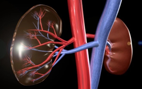 Người thận yếu thường có 6 đặc điểm rất dễ nhận biết: Hãy sớm đi khám nếu bạn có cảm giác tương tự-1