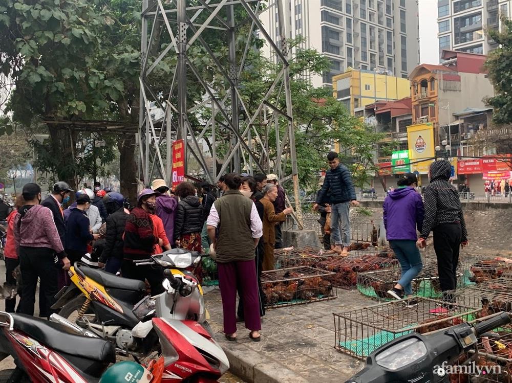 Người dân Hà Nội xếp hàng mua gà giải cứu 60k/kg, thị trường online thêm tấp nập với cam Hà Giang 7k/kg-2