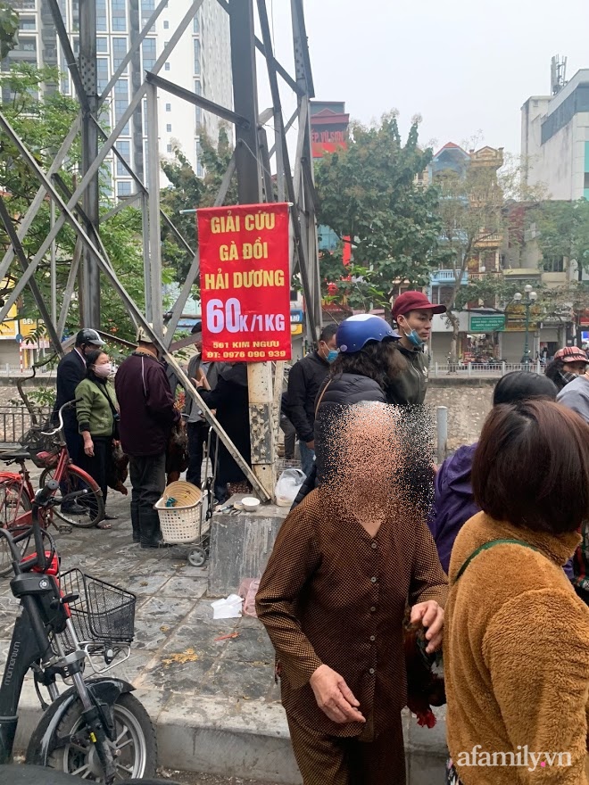 Người dân Hà Nội xếp hàng mua gà giải cứu 60k/kg, thị trường online thêm tấp nập với cam Hà Giang 7k/kg-5
