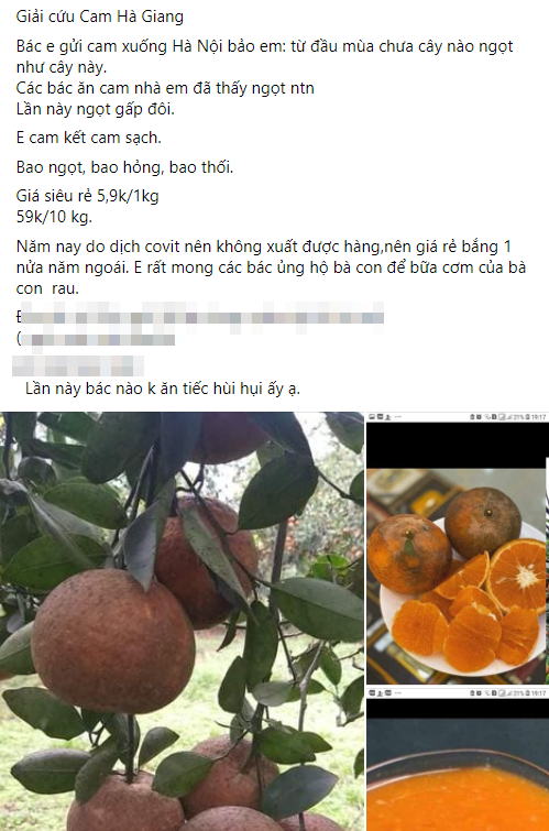 Người dân Hà Nội xếp hàng mua gà giải cứu 60k/kg, thị trường online thêm tấp nập với cam Hà Giang 7k/kg-6