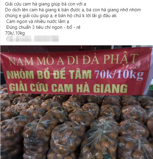 Người dân Hà Nội xếp hàng mua gà giải cứu 60k/kg, thị trường online thêm tấp nập với cam Hà Giang 7k/kg-7