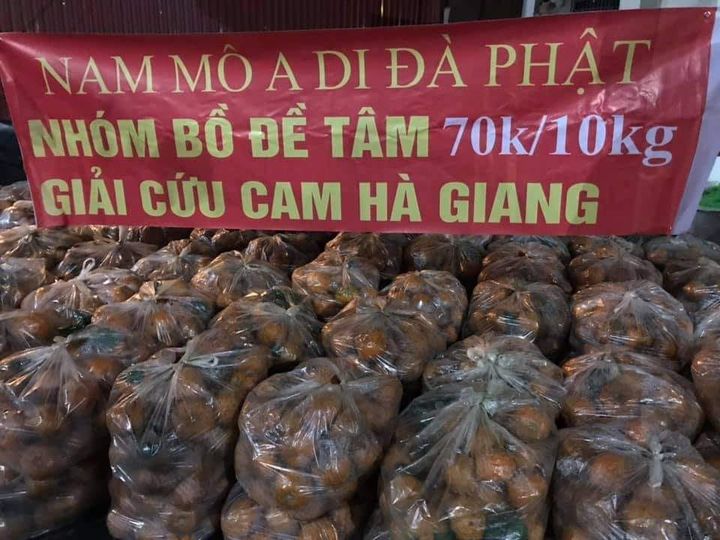 Người dân Hà Nội xếp hàng mua gà giải cứu 60k/kg, thị trường online thêm tấp nập với cam Hà Giang 7k/kg-9