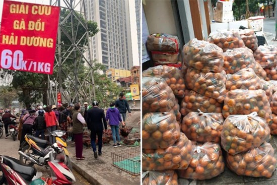Người dân Hà Nội xếp hàng mua gà 