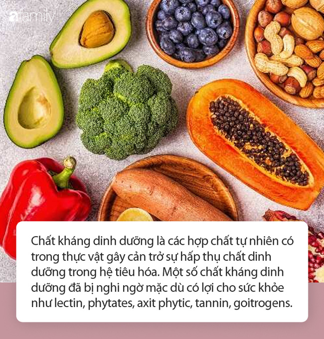 Một số chất có lợi cho sức khỏe nhưng lại cũng là chất kháng dinh dưỡng: Làm thế nào để tránh ảnh hưởng của chúng?-2