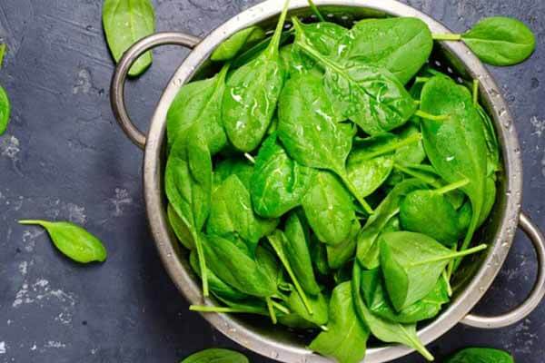 Một số chất có lợi cho sức khỏe nhưng lại cũng là chất kháng dinh dưỡng: Làm thế nào để tránh ảnh hưởng của chúng?-3