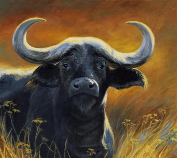 Tân Sửu 2021: Sao xấu chiếu mệnh, 3 con giáp lận đận tình duyên, dễ bị tiểu tam chen ngang ngáng đường-1