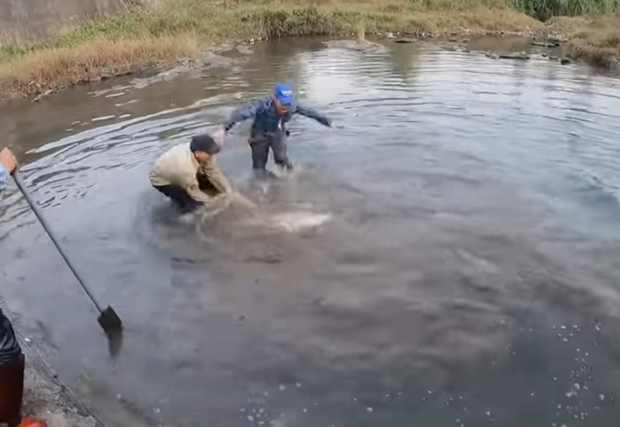 Nhóm thanh niên Hải Phòng gây phẫn nộ khi đăng clip ngược đãi động vật, sơn trắng cá sấu thành bạch tạng tiền tỷ để troll cho vui-2