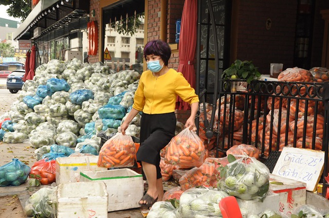 Khốn đốn vì Covid-19, nữ giám đốc đi buôn hoa quả, biến văn phòng thành kho chứa hàng-1