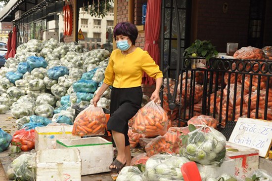 Khốn đốn vì Covid-19, nữ giám đốc đi buôn hoa quả, biến văn phòng thành kho chứa hàng