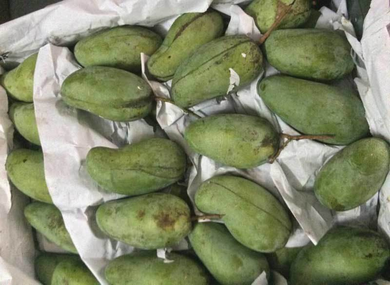 Trái cây dội chợ giá rẻ hơn rau, bán cả chục tấn/ngày-2