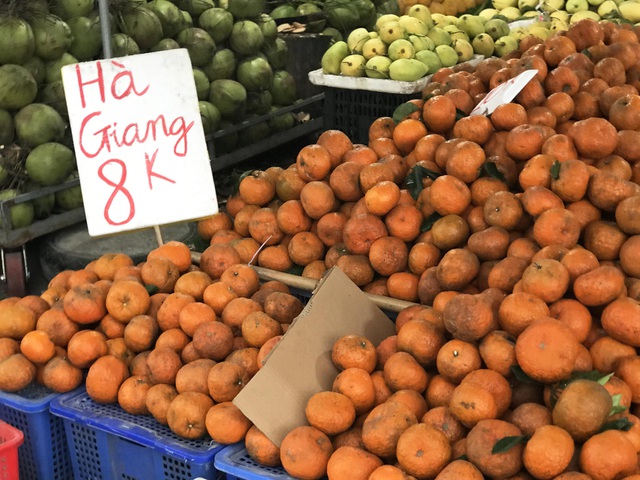 Cam sành đặc sản giá siêu rẻ 8.000 đồng/kg, tiểu thương tiết lộ sự thật-1