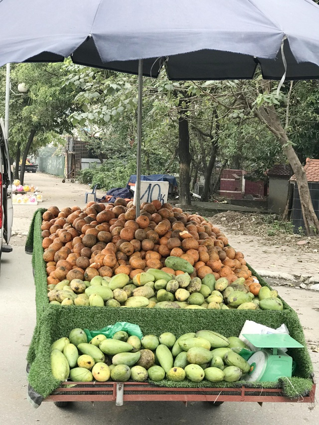 Cam sành đặc sản giá siêu rẻ 8.000 đồng/kg, tiểu thương tiết lộ sự thật-3