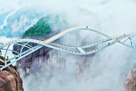 Chiêm ngưỡng cây cầu 