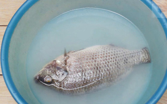 Có 1 cách đánh bay mùi tanh của cá, xem hướng dẫn chắc chắn 99% các mẹ sẽ ngỡ ngàng vì trước giờ không biết-5