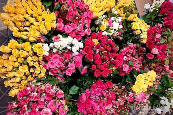 Xuất hiện hoa hồng mạ vàng giá chỉ 10.000 đồng/bông-4