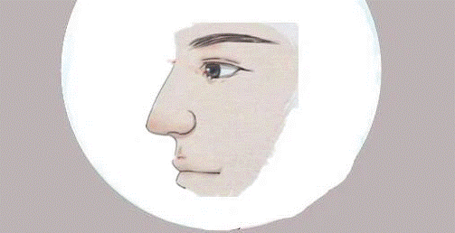 Đây là 3 tướng mũi phú quý, đàn ông thì làm quan, phụ nữ thì làm phu nhân, cả đời ăn sung mặc sướng không sợ thiếu tiền tiêu-2