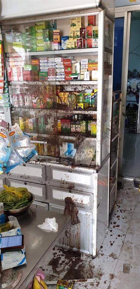 Nữ chủ tiệm thuốc tây bị khủng bố bằng sơn, mắm tôm vì em trai mượn tiền giang hồ không trả-2
