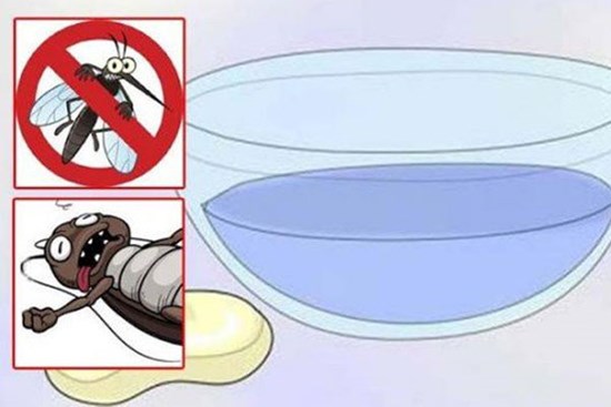 Trời nồm ẩm muỗi càng nhiều, đặt một bát nước trong phòng, muỗi sẽ không còn cơ hội “'vo ve”