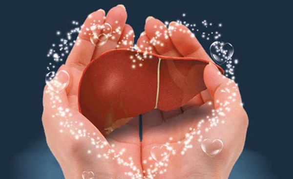 Ba ngọt hại gan nên ăn ít, hai đắng dưỡng gan nên ăn nhiều-1