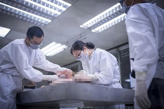 Chuyện chưa kể của những nữ pháp y: Đang khám nghiệm thì tử thi bất ngờ