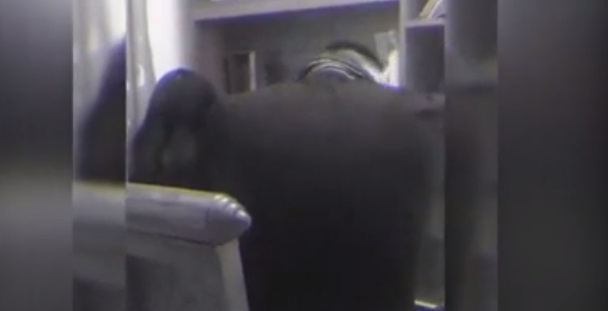 Bị mắng vì điểm kiểm tra quá thấp, cô bé trả lời 1 câu ngắn gọn mà khiến người bố tức vò đầu bứt tai còn cư dân mạng cười nghiêng ngả-3