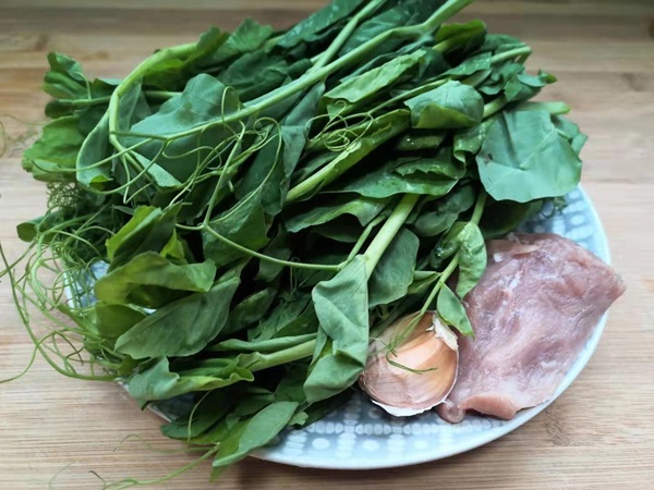 Tháng 3, loại rau mầm này là báu vật, mang đi nấu canh thì nước ngọt vô cùng, lại bổ và cực tốn cơm-4