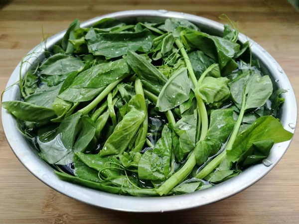 Tháng 3, loại rau mầm này là báu vật, mang đi nấu canh thì nước ngọt vô cùng, lại bổ và cực tốn cơm-6