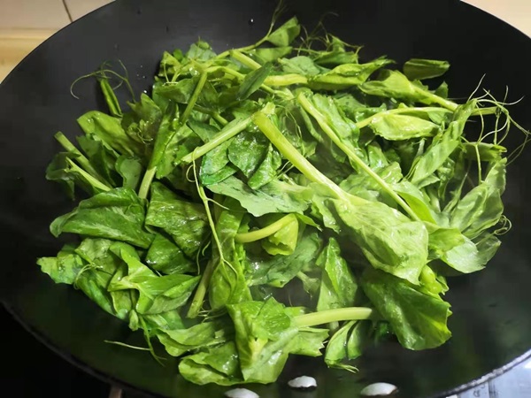 Tháng 3, loại rau mầm này là báu vật, mang đi nấu canh thì nước ngọt vô cùng, lại bổ và cực tốn cơm-7