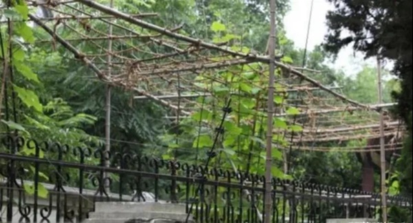 Tài tử hạng A bỏ 1000 tỷ tậu siêu biệt thự nhưng 7 năm bỏ trống, bà giúp việc bỗng hưởng lợi cả vương quốc-4