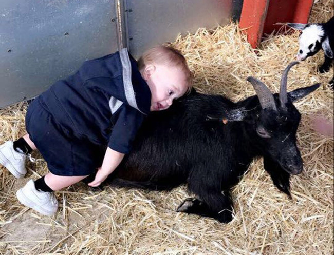 Nghe bà mẹ kể tội con trai: Đập vỡ sương sương 12 cái tivi, nửa đêm không ngủ dậy sơn khắp nhà, ai cũng cười ngặt nghẽo con mình vẫn còn hiền chán-11