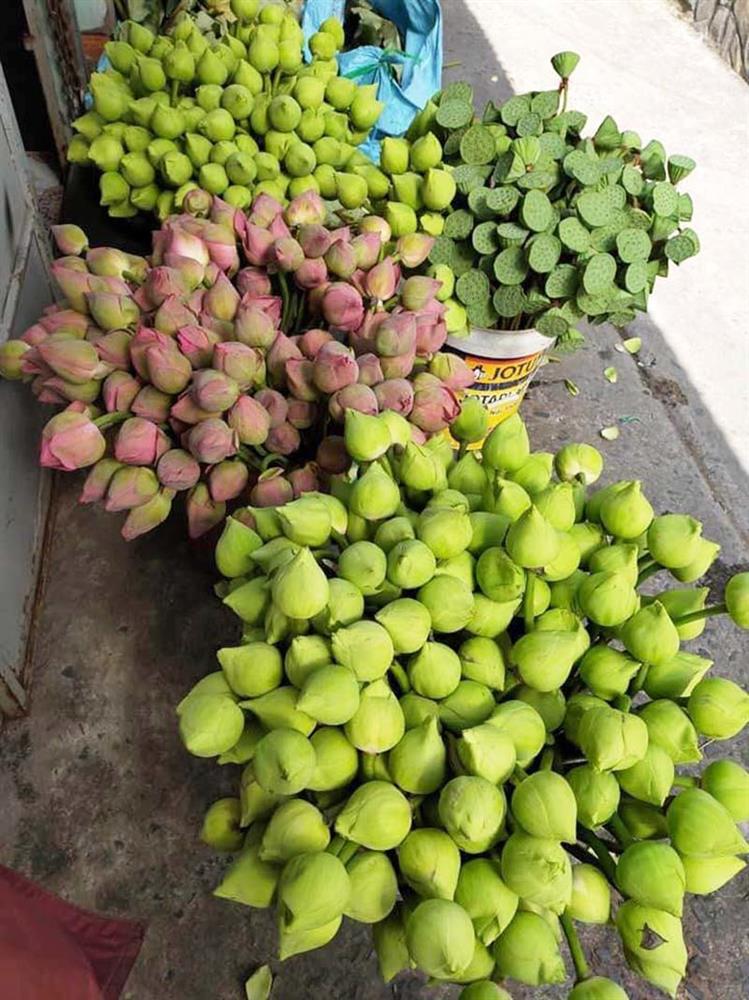 Sen quan âm đi máy bay ra Hà Nội, đổ mối vạn bông vẫn không đủ bán-5