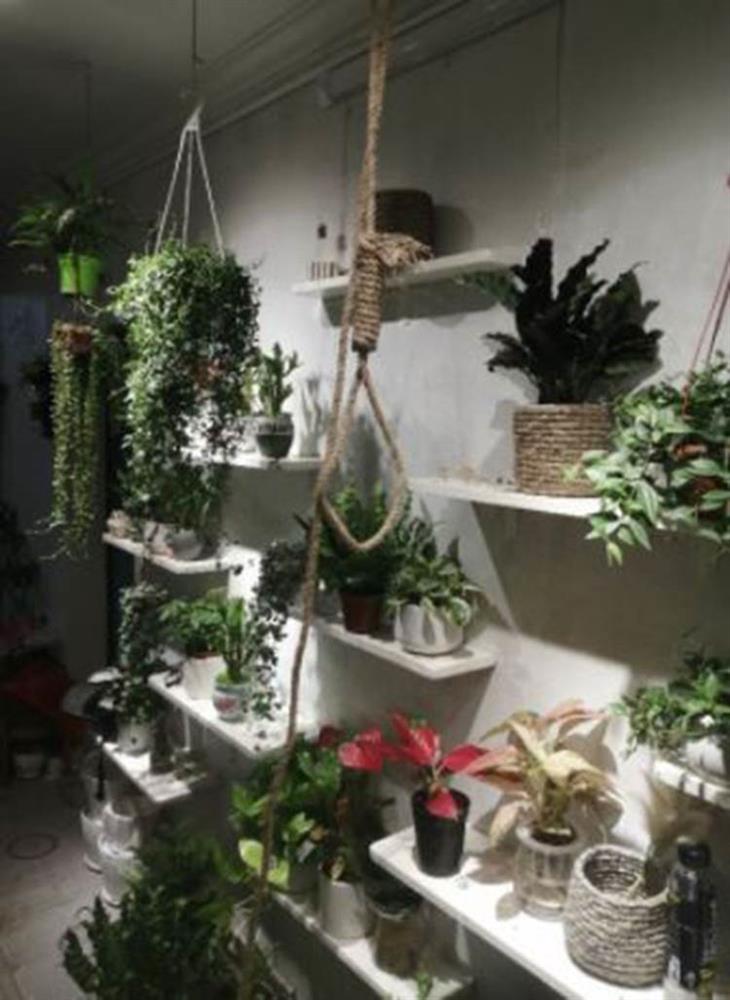 Ngỡ ngàng với màn rao bán thòng lọng treo cổ với mô tả giúp bạn thanh thản hơn, tuy nhiên không ai thèm mua!-3