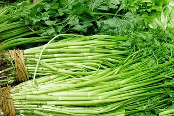 Rau cần đang ngon rẻ nhưng nếu thuộc 1 trong 3 nhóm người sau đây nhất định không nên ăn-1