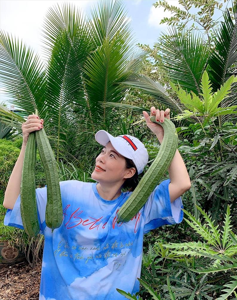 Khu vườn rộng, ngập tràn rau củ quả, có cả giống ngoại nhập của ca sĩ Mỹ Lệ-2