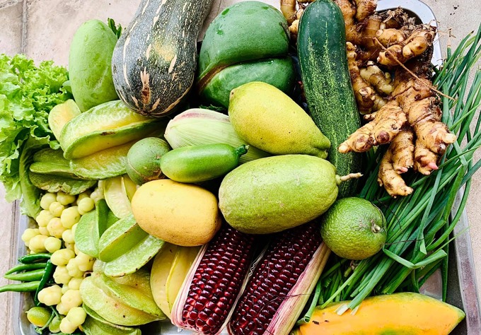 Khu vườn rộng, ngập tràn rau củ quả, có cả giống ngoại nhập của ca sĩ Mỹ Lệ-6