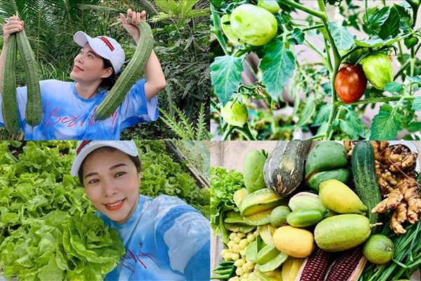 Khu vườn rau củ quả trong nhà thờ Tổ của NSƯT Hoài Linh-11