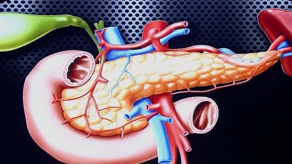 Ung thư tuyến tụy được coi là vua ung thư, nên khám càng sớm càng tốt khi có 3 dấu hiệu này-2