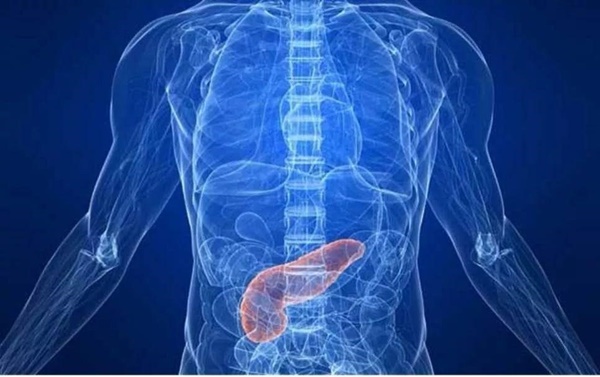 Ung thư tuyến tụy được coi là vua ung thư, nên khám càng sớm càng tốt khi có 3 dấu hiệu này-3