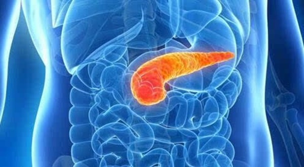 Ung thư tuyến tụy được coi là vua ung thư, nên khám càng sớm càng tốt khi có 3 dấu hiệu này-4
