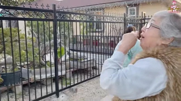 Hé lộ nhà rộng 2000 m2 của Bằng Kiều tại Mỹ, cây quý bằng cả gia tài, phải xích lại-2