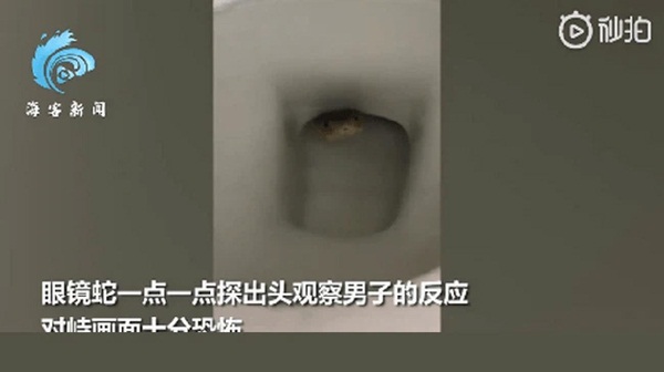 Người đàn ông đi giải quyết nỗi buồn thì suýt ngất trước vật thể lạ dưới bồn cầu nhưng vẫn chưa sợ bằng câu chuyện đôi mắt bí ẩn trong quá khứ-2