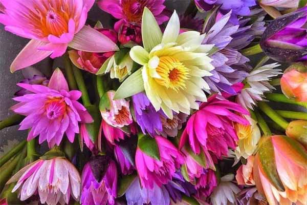 Trứng gà giảm giá kỷ lục, rao bán la liệt rẻ chưa từng có-3