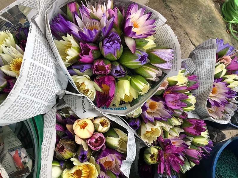 Chị em đua mốt chơi mới, hoa dại mọc hoang nay trở nên đắt đỏ-4