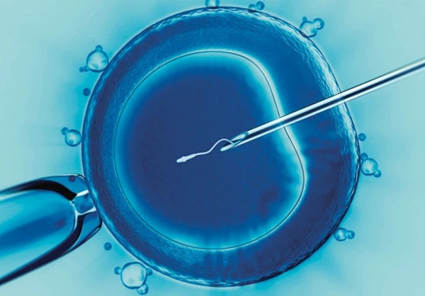 Cạm bấy chết người tại chợ đen mua bán trứng phụ nữ ở Trung Quốc: Nữ sinh đại học đánh cược cả tương lai để được sống hưởng nhất thời-2