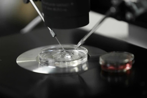 Cạm bấy chết người tại chợ đen mua bán trứng phụ nữ ở Trung Quốc: Nữ sinh đại học đánh cược cả tương lai để được sống hưởng nhất thời-5